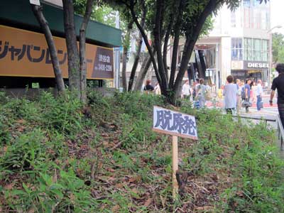 「さようなら原発１０００万人署名第一次集約のJPG