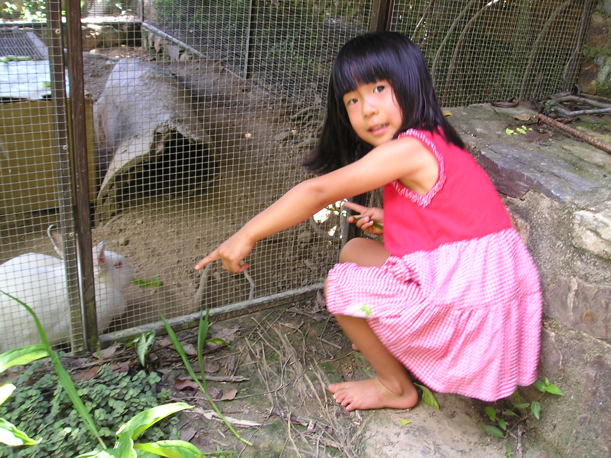 P1010546.JPG