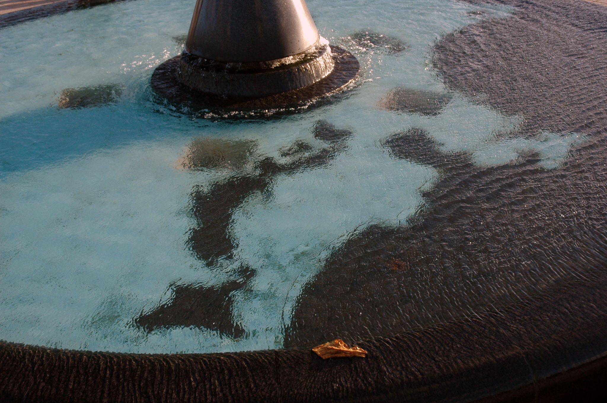 DSC_0272.JPG